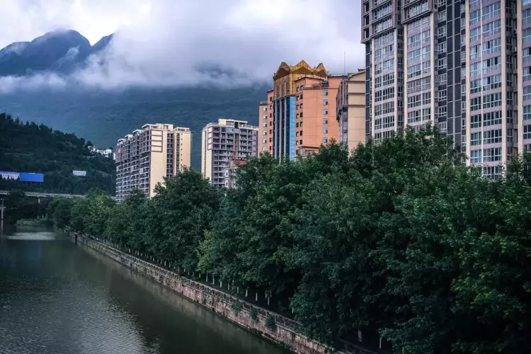 张政明先生是剑阁五指山的人,也是五指山一代药王张先孙的儿子.
