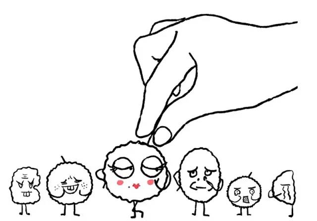 一颗乡宁花椒的自白明天我要隆重登场