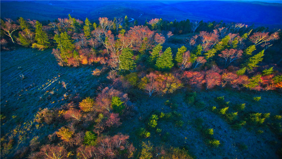 长白山森工八家子林业仙峰盛景——雪岭秋季风光