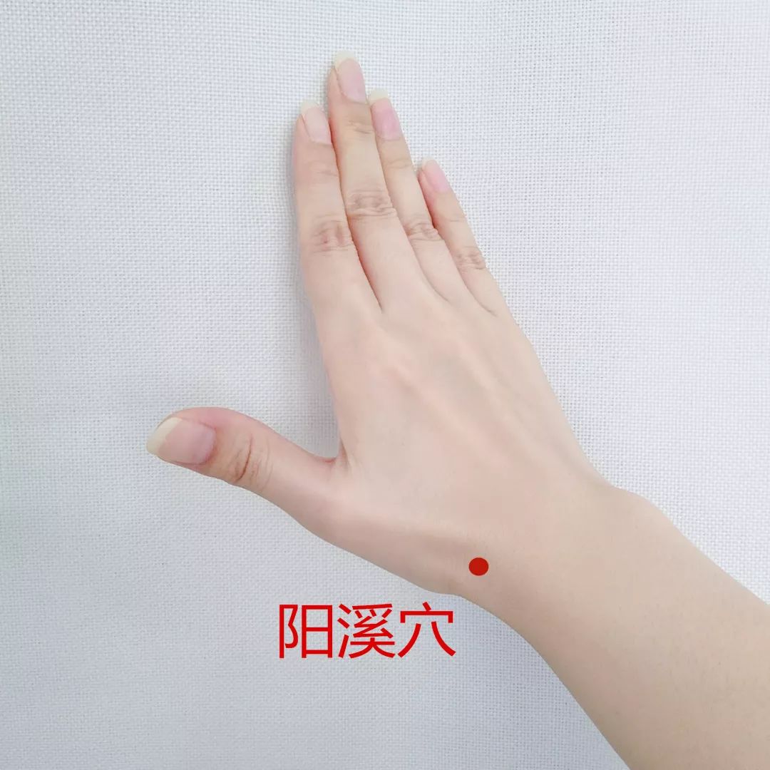 穴位知识十二经脉手阳明大肠经之合谷穴