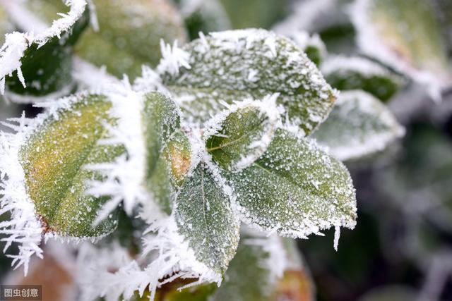 农村俗语别人求我三春雨我求他人六月霜什么意思