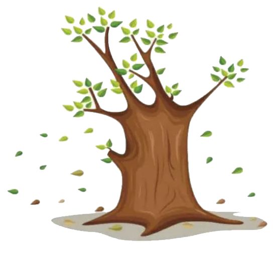 你知道闵行这些和乾隆刘邦有过亲密接触的古树都在哪里吗老底子