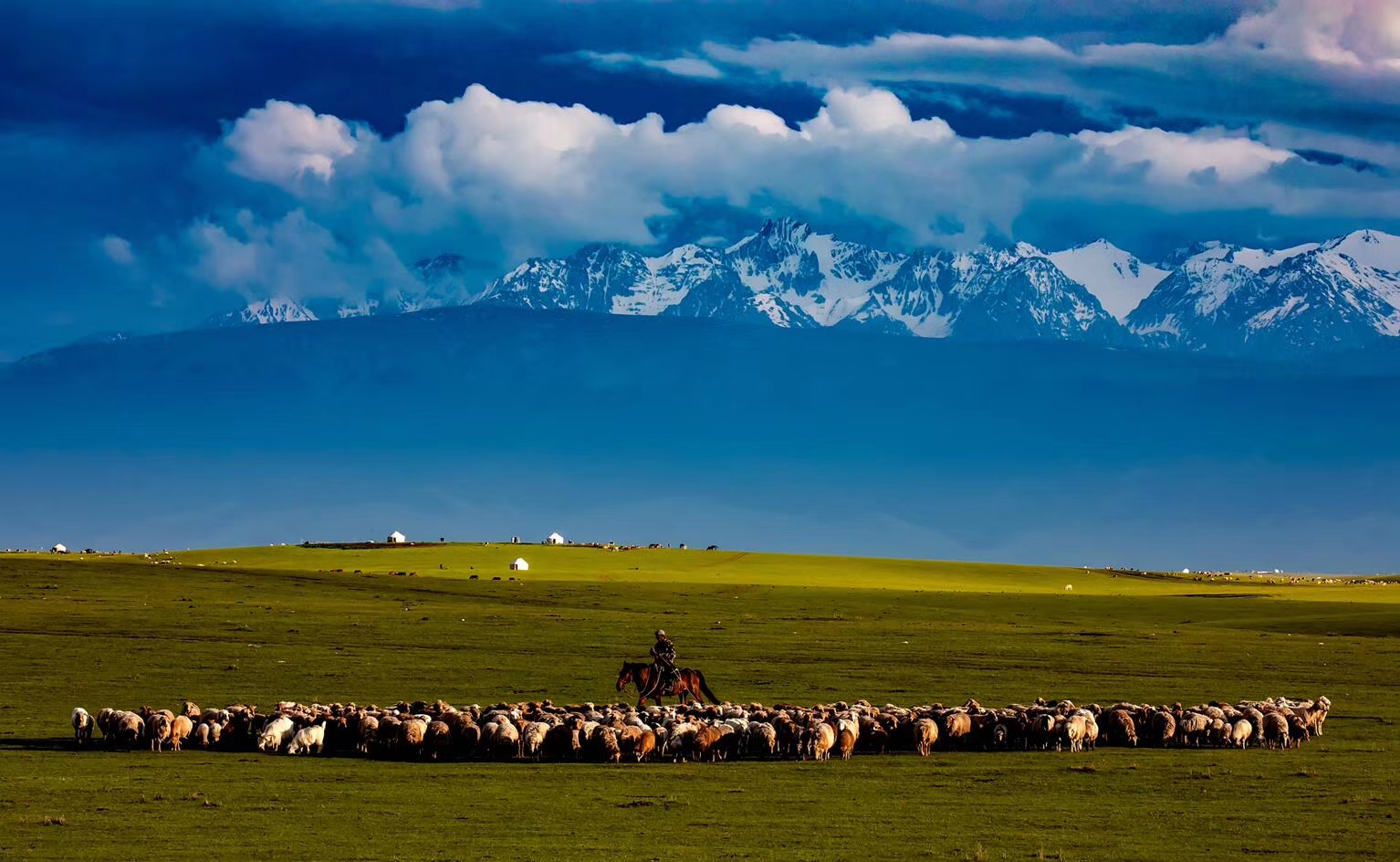 王玉军作品赏析为了系统,全面地展现中国文化的无穷魅力,更深入地了解