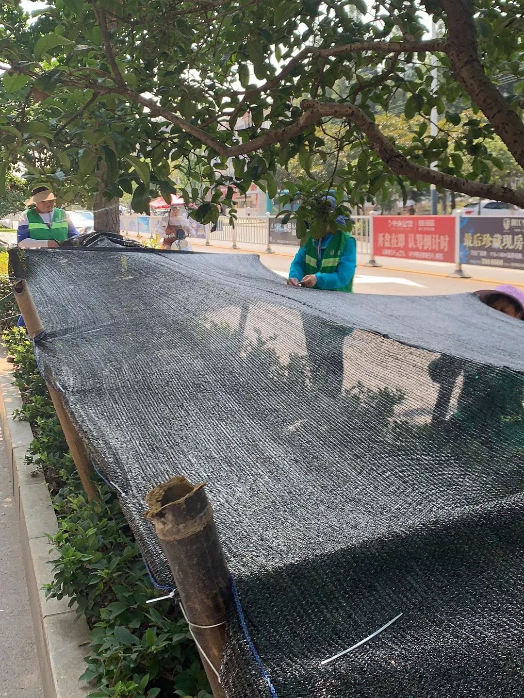 搭建遮阳网:对市民广场,永宁大道,武穴大道,明珠路,刊江大道等地段新