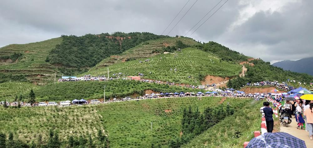 小示范带动大产业_高兰村
