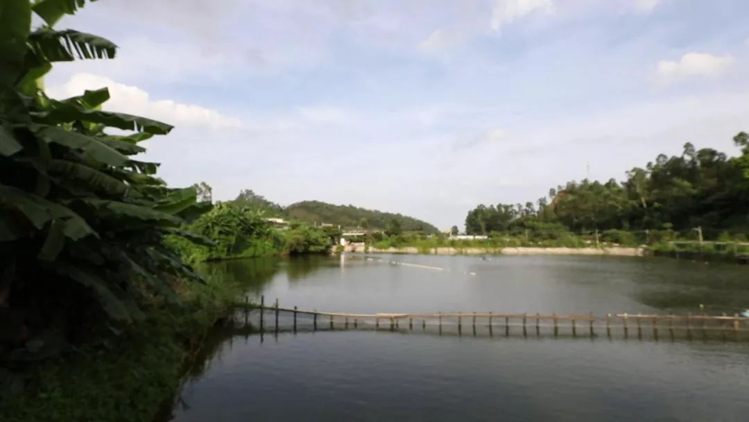 江门新会区会城大道圣贤山庄美食馆(点击查看详细导航)95 请狂戳