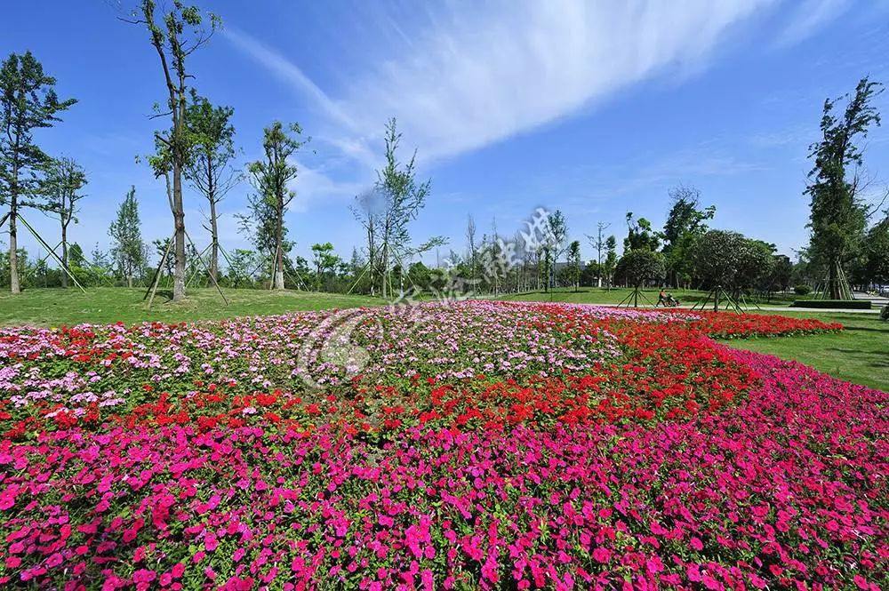 空港中央公園南靠海濱城景區,目前已建成