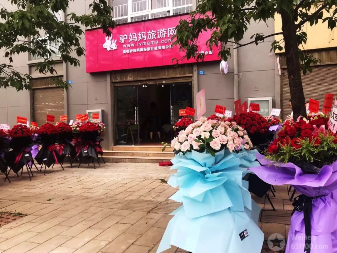 易门樱花路驴妈妈旅游网有新动作!充值500送500,再送行李箱一个!