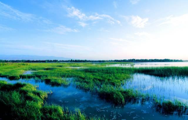 流经湖北的汉江,920公里都是风景_湿地