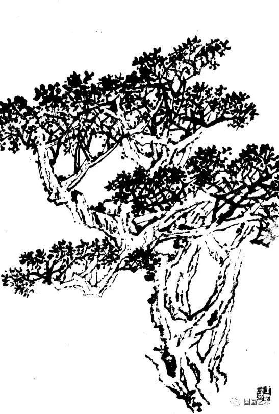 百树谱百树画谱收藏备用