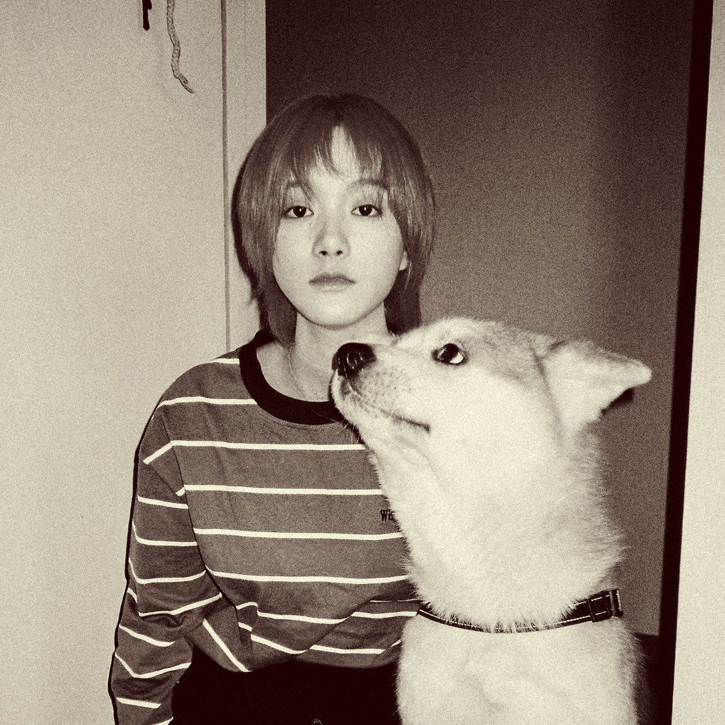 原创明日之子大牛原名牛梦瑶by2连姓都换了谁知道徐若侨叫啥