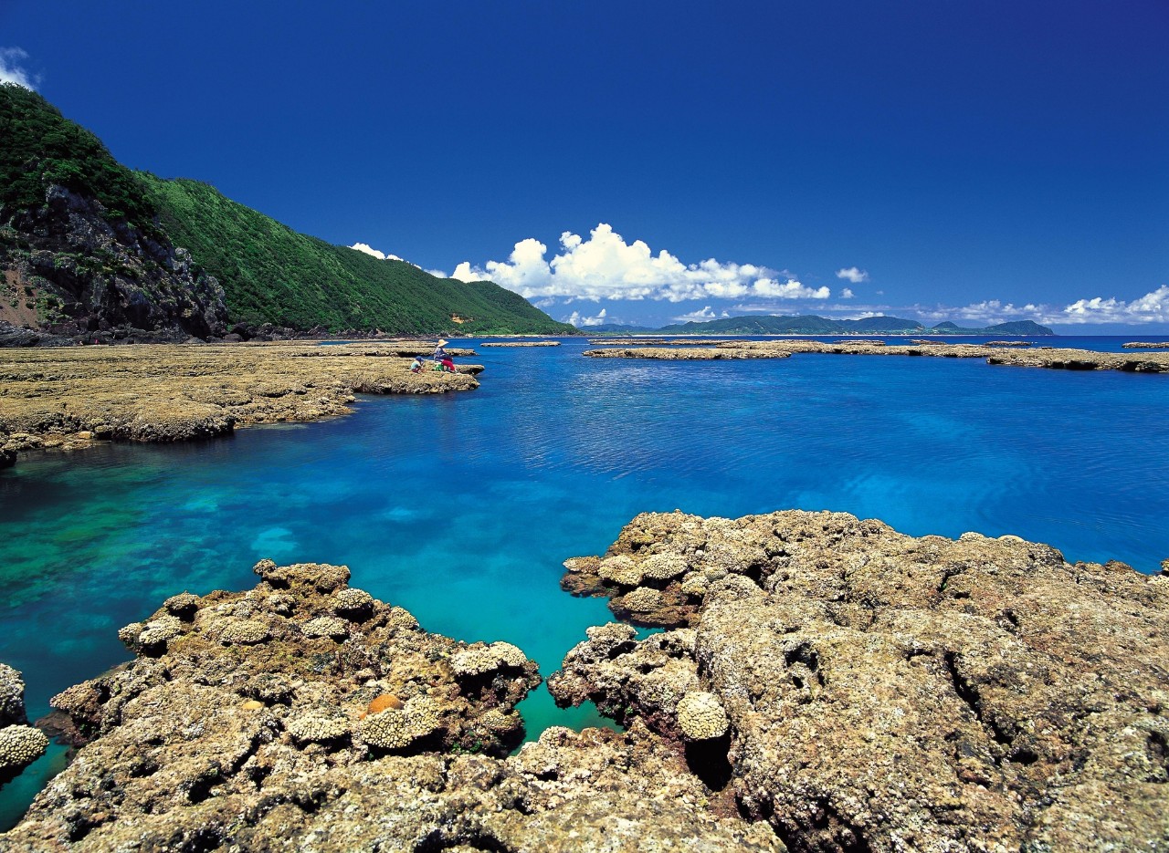 日本开放网上签证赴日游不想人挤人到鹿儿岛就对了