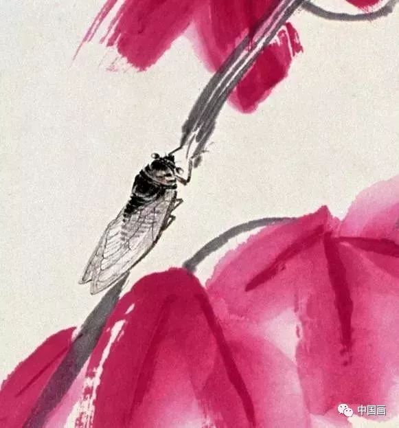 齐白石88岁画的蝉,令人叹为观止!