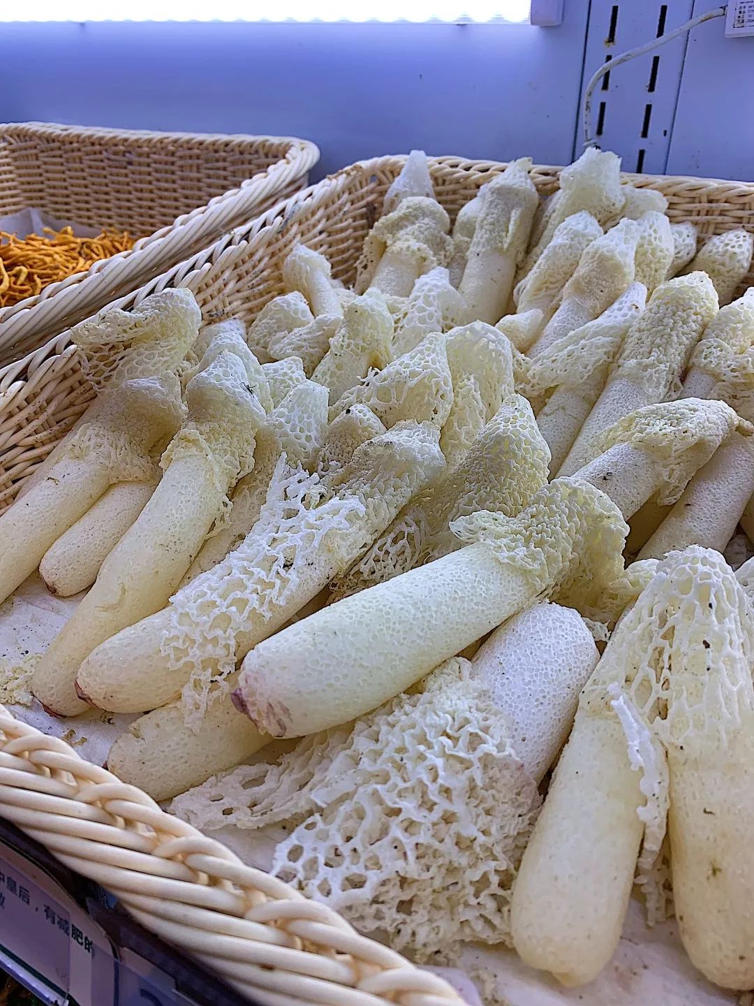 羊肚菌鸡枞菌松茸松露美味牛肝黑牛肝菌等多种新鲜的菌类