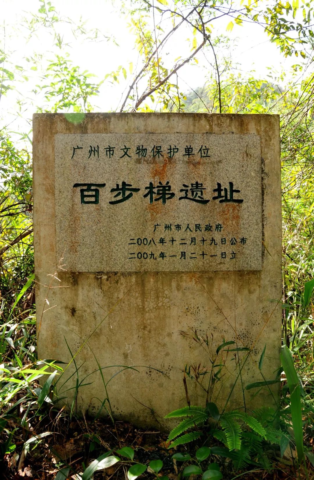 现在的梯面镇在过去叫百步梯林场就是因为百步梯得名的~百步梯遗址