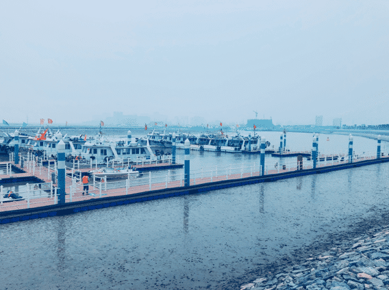 沧州东渡码头图片
