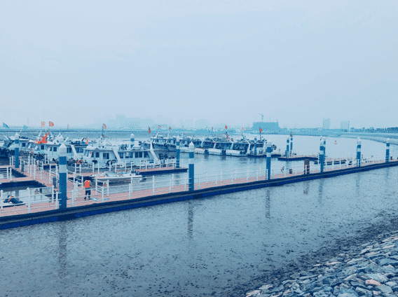 沧海之上:文旅做帆,产业撑船—河北沧州渤海新区发展生态旅游,吸引