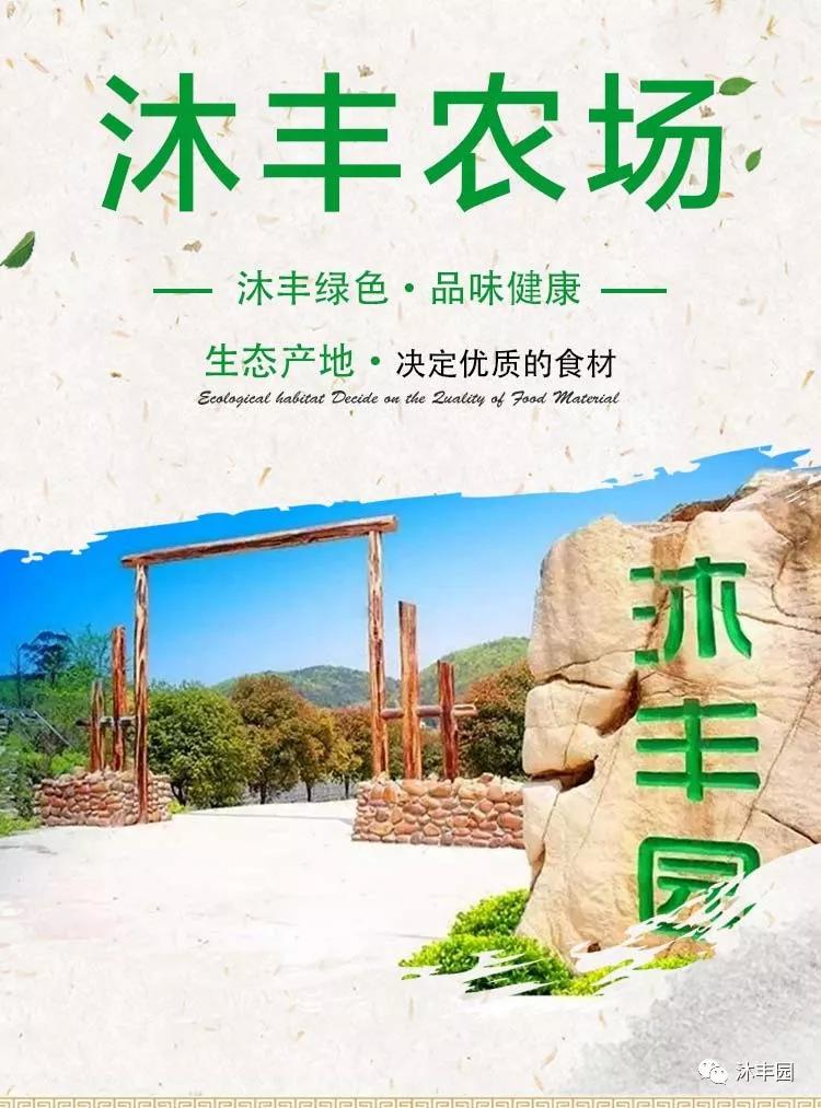 重庆绿色蔬菜种植基地供应配送沐丰园生态农场绿水映青山土鸡逐林间