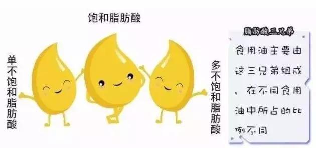 万万没想到这几款食用油竟被抽检出脂肪酸组成不合格