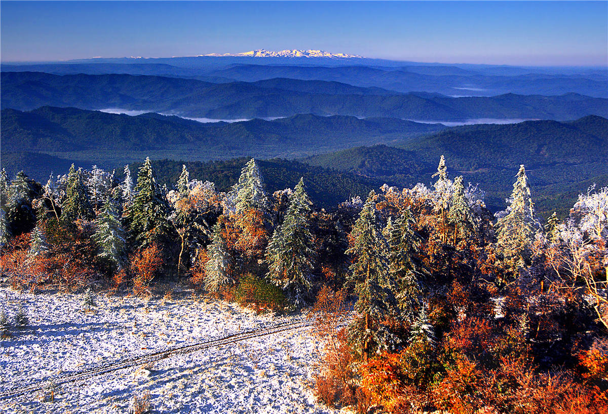 长白山森工八家子林业仙峰盛景——雪岭秋季风光