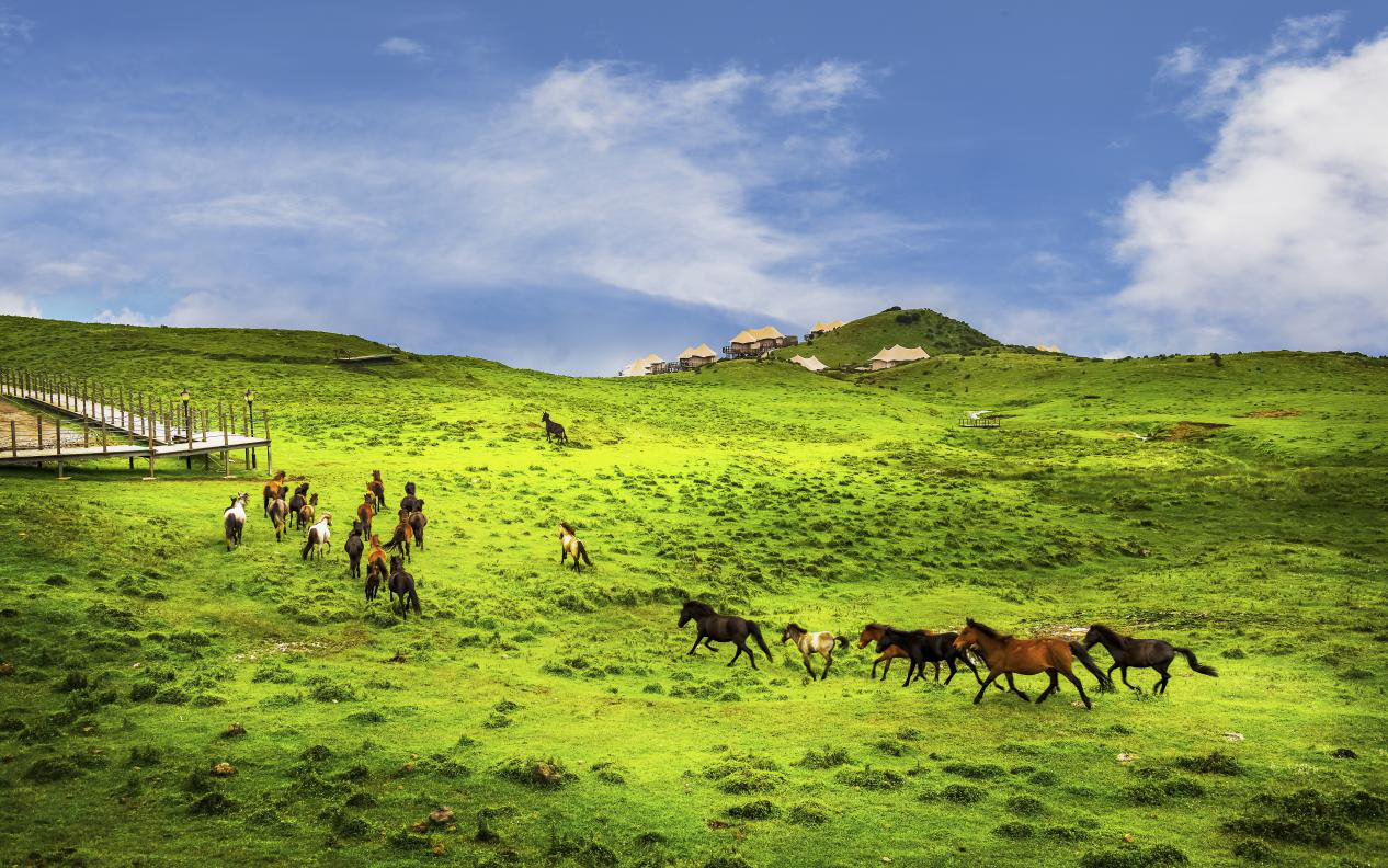 乌蒙大草原景区图片