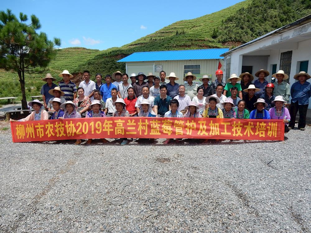 小示范带动大产业_高兰村