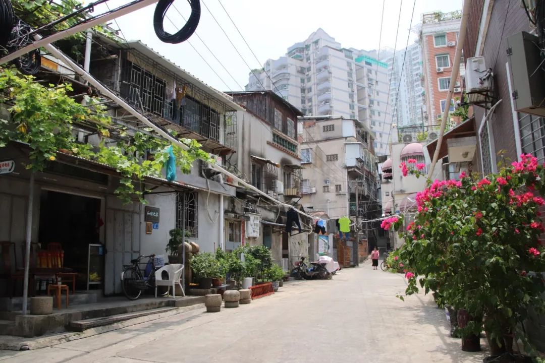 距离中山路不到500米.这条老巷,藏着厦门人的旧时光!_巷子