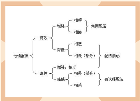 南京太乙堂中医院肿瘤名家戴春海谈七情配伍