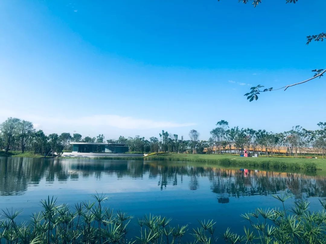 这里是成都北湖