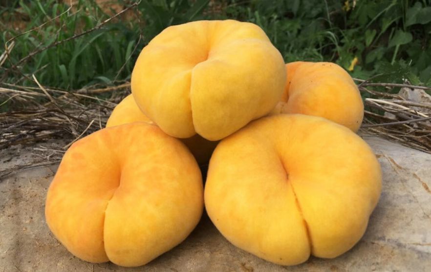 王母娘娘爱吃的蟠桃人间也能尝到金黄多汁蜜甜