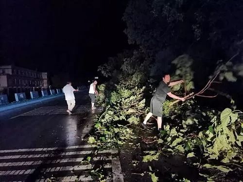 商洛新添网红蹦床娱乐项目,明日开业._柞水县