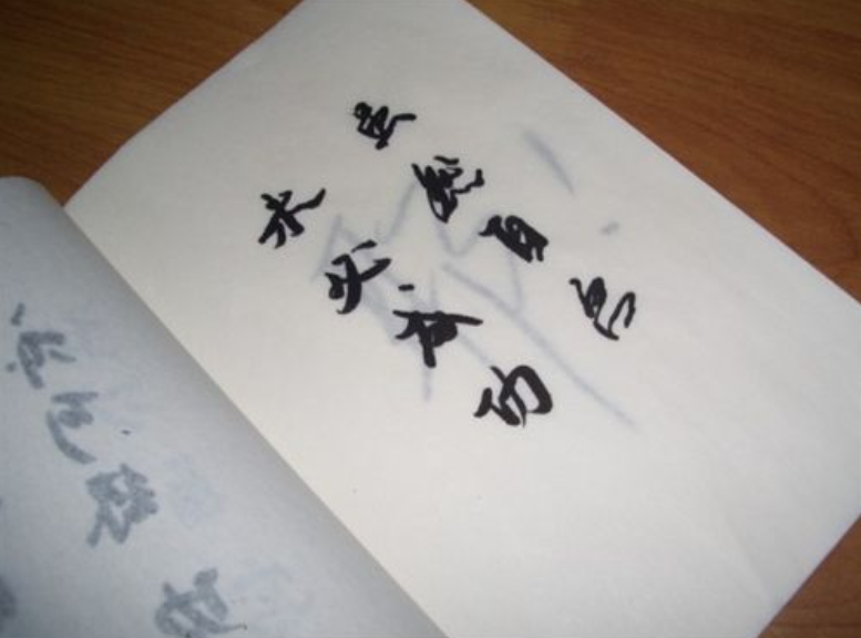 他翻开《葵花宝典》的第三页,看到上面写着:"即便自宫,未必成功",于是