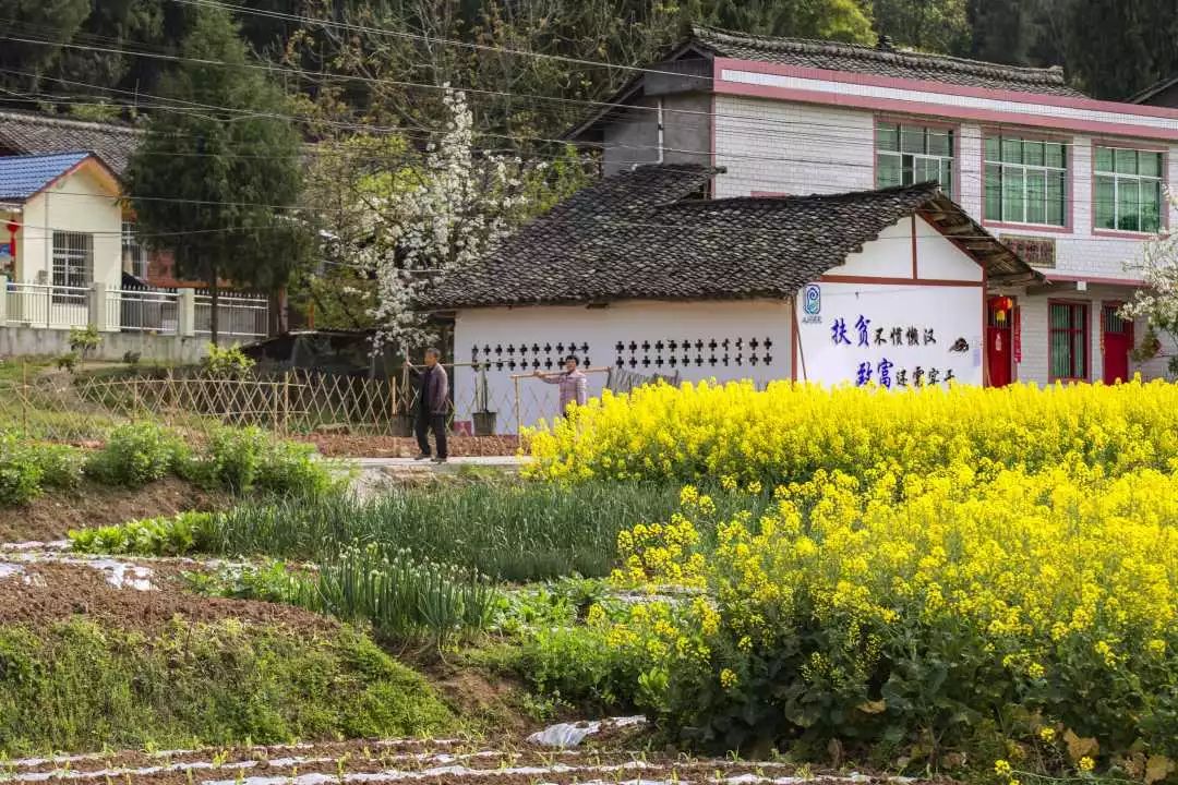桃源阡陌交通,田园农家诗情画意赏白堡白堡村,地处阆中市河溪镇东北部