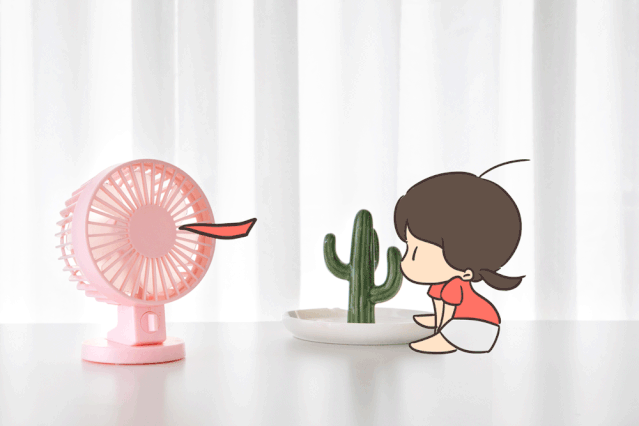 三伏开始!不论男女老少都要热养生!