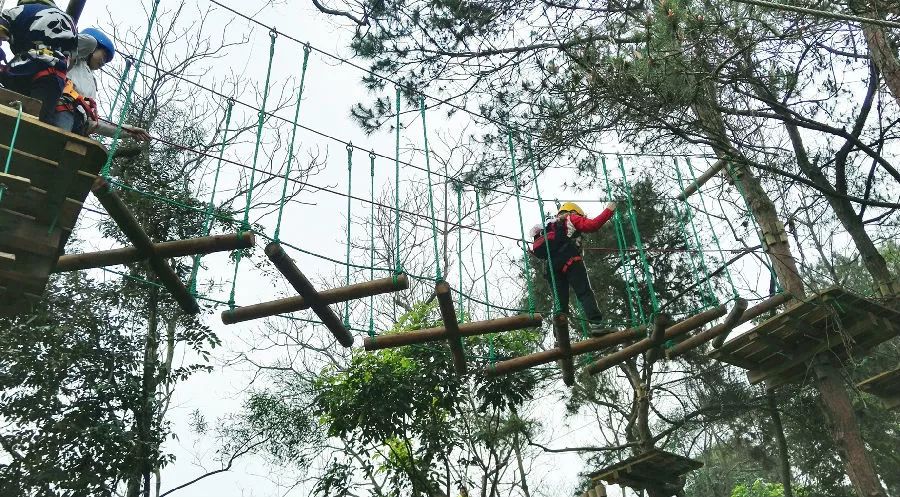 黄瓜山飞越丛林图片