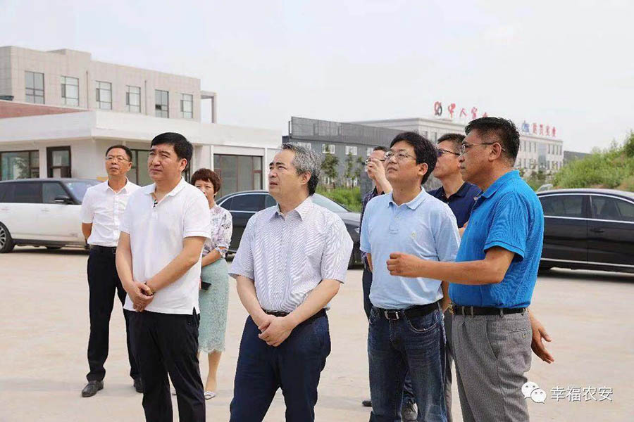 县委常委,副县长林凤生及县自然资源局,县工信局,农安工业集中区,长春