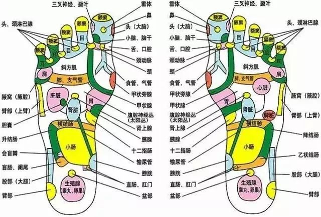 肾经主宰你一生的健康