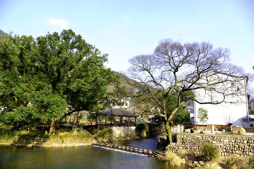 诸暨市东溪村黄檀溪针对山丘,平原,海岛等各类河流特性以及所处城镇