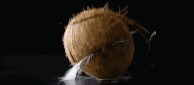 硬壳椰子怎么开（巧妙打开椰子的方法）