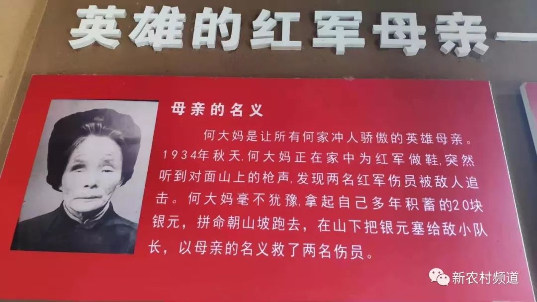 数不清的红军故事,说不完的鱼水情深.