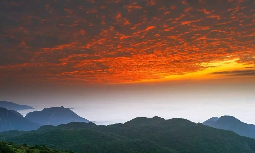 這段時間的貓兒山氣溫宜人日出日落夜空繁星更是美到令人心醉