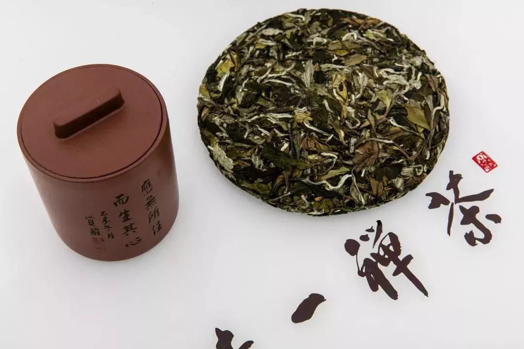 悦品闽茶老白茶品鉴上海站