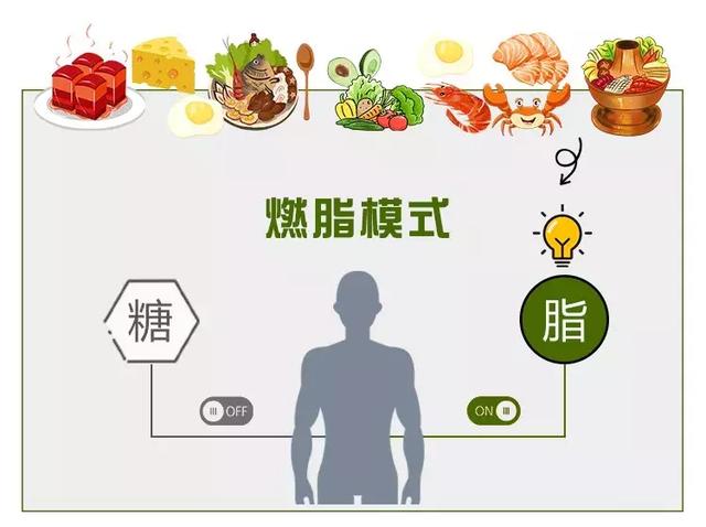 什么是低碳饮食适合所有人吗一篇告诉你真相