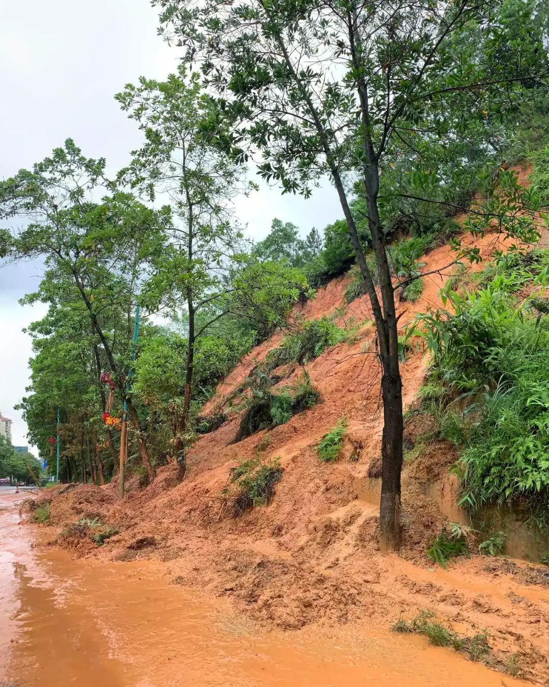 云浮世纪大道出现山体滑坡快看情况如何