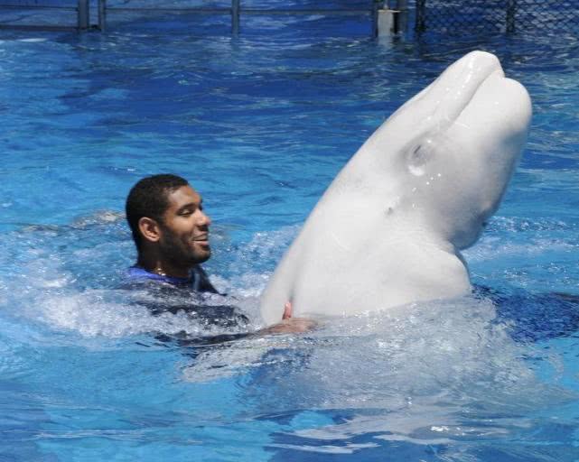 nba球星趣事:邓肯两骗波波!奥尼尔养了只老虎,自己差点被吃掉