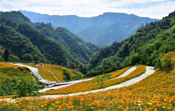 门票免费送 | 水磨花谷带你感受不一样的夏天_都江堰