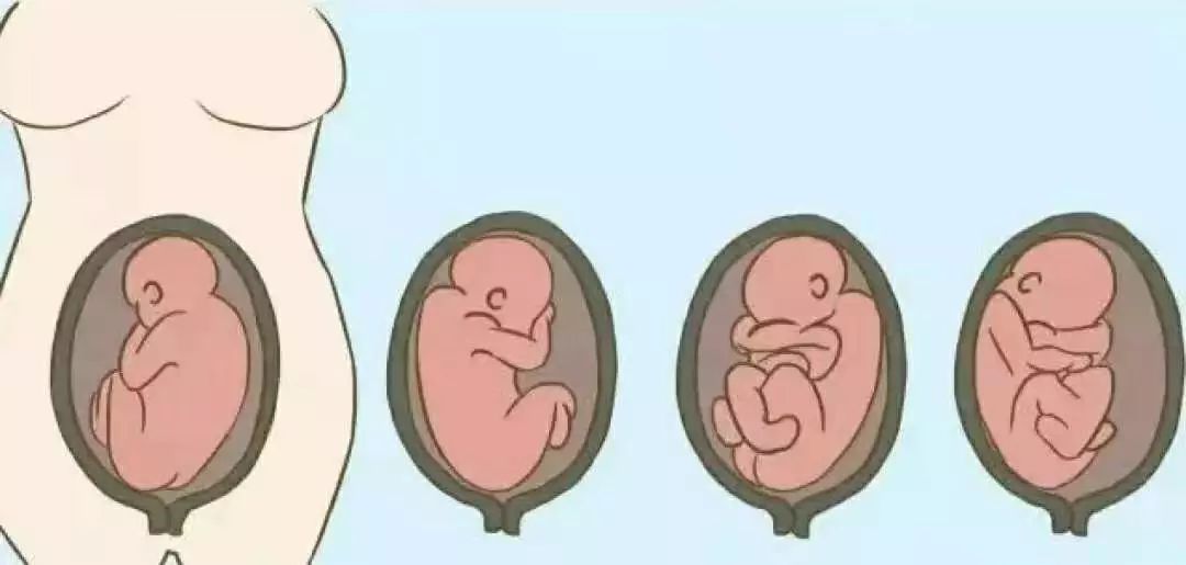 产检报告单一张薄纸却包含了这么多母婴安全指示