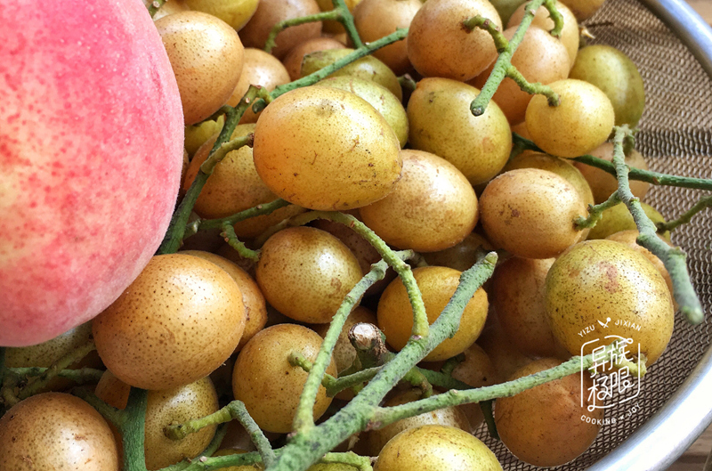 朋友说,我家的菜篮子太小资,纷纷要排队来蹭饭,你怎么看_冬瓜