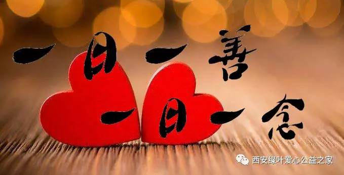 一日一善一日一念之绿叶公益2019年8月爱心月捐募集帖