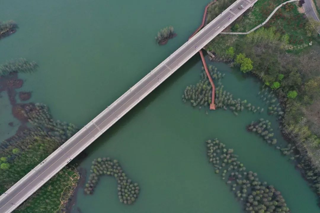 9:20至蒋坝河工风情小镇,游览三河闸,最美古堰,湿地公园;12:40乘观光